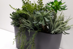 Artificial mixed succulent arrangement