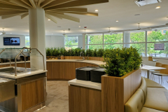 Artificial boxwood bushes in a Mississauga office cafeteria