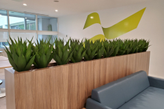 Artificial Agave plants in a Mississauga cafeteria lounge area