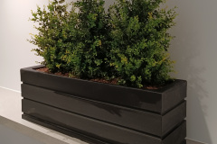 Artificial boxwood plants add greenery to a dark nook in this Hamilton office building.