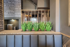 Artificial Agave plants in this new Mississauga restaurant