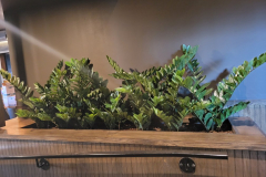 Artificial ZZ Plants add interest to a dark corridor in a Mississauga restaurant