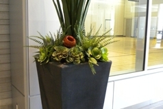 Large artificial mixed succulent arrangement