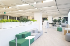 Neon and Golden Pothos divide the space separating workstations from collaboration areas