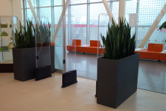 Snake plants in large Earth Wall planters direct traffic in a Toronto college library entrance