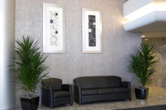 Tarzan Dracaena indoor trees frame seating area in a Mississauga office building