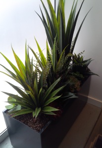 Artificial succulent plants