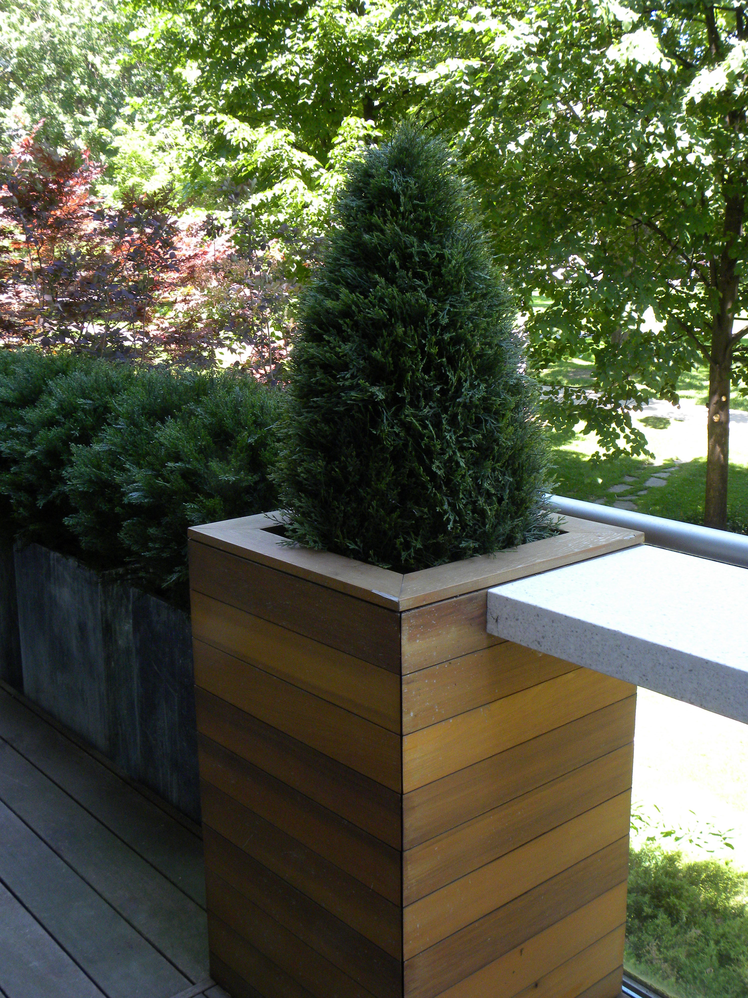 Artificial Cedar cone and bushes