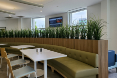 Artificial grasses in a Mississauga office cafeteria