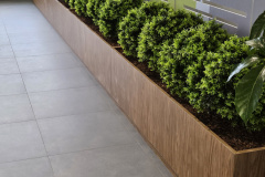 Artificial opal basil bushes in a custom planter in this Brampton office