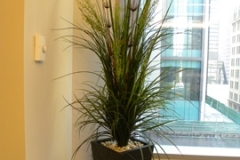 Artificial grasses including river rock top-dressing in a Vaughan office