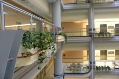 Assorted artificial plants used in multi-level atrium in Toronto
