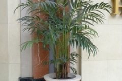 8 foot tall artificial Kentia Palm tree decorates entrance of a large entertainment complex