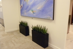 Small artificial Agave plants in  narrow modern containers in a Toronto office