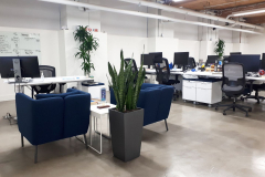 Low light plants brighten a windowless office space.