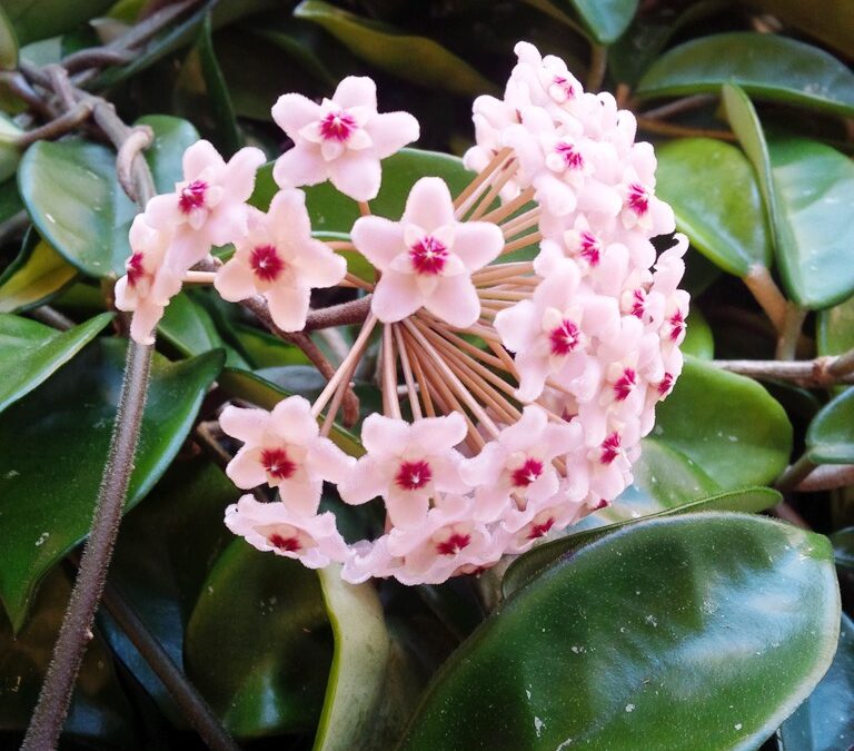 Here’s proof…Adding plants to your office was a great idea!