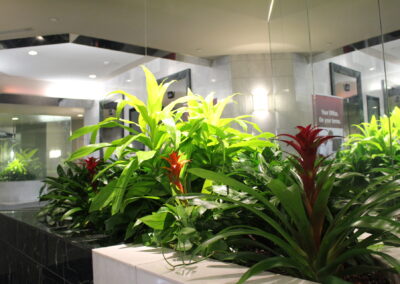 Plants in a lobby in Oakville office building