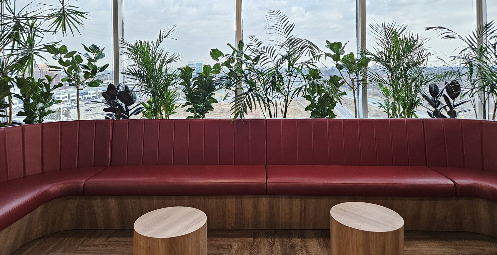 Tropical office plants Oakville, biophilia,