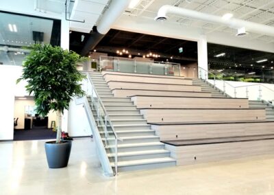 Large Indoor office plants Mississauga