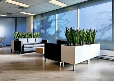 Artificial plants for the office.