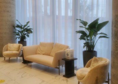 Plants for an office Mississauga. Buy office plants Mississauga. Artificial plants for the office Mississauga