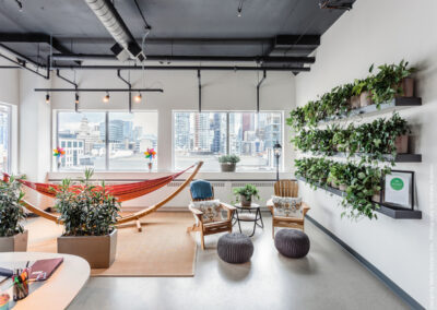 Plant for the office Toronto. Office plants. Office landscapeing Vaughan