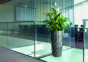 Office plants Mississauga, plants for the office Vaughan, plants for the office Richmond Hill, plants for the office Markham