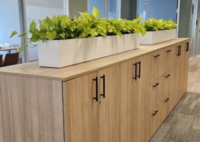 Office plants Mississauga, plants for the office, office plants Brampton, Vaughan