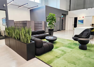 Tropical office plants Etobicoke, Toronto, Vaughan, Tropical Plant Concepts, Stems Interior Landscaping, Ambius office plants