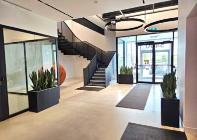Office plants GTA. office plants Toronto, office plants Vaughan, office plants Brampton, tropical office plants, office plant consultation