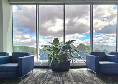 Plants for my office Mississauga, Brampton, Vaughan. Office plants. Indoor office plants. Plant care office. Ambius office plants