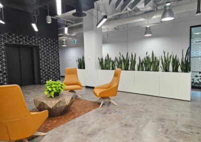 Live plants for the office Toronto Mississauga, Brampton, Oakville, Vaughan, GTA, Ambuis, Tropical Plant Concepts, Stems