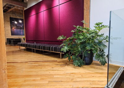 Corporate office plants and plant care, Interior landscaping, Ambius, Tropical Plant Concepts, Indoor office plants Toronto, Mississauga, Brampton, Vaughan, Oakville