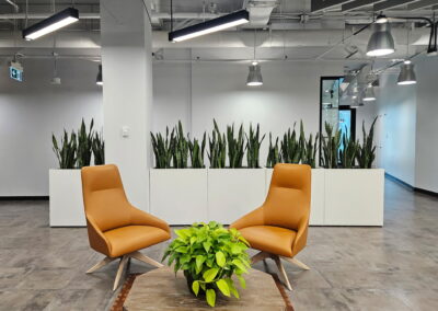Indoor office plants, office plant care GTA, office plants Mississauga, Brampton, Vaughan, Oakville, Tropical Plant Concepts. Ambius Office Plants, Stems Interior Landscaping