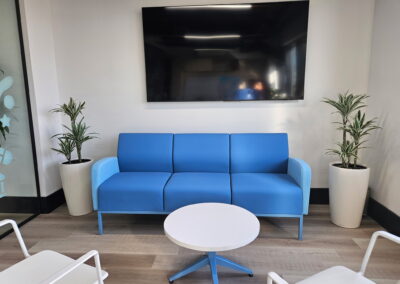 Plants for an office. plants office, corporate plants, tropical office plants, office plant care Mississauga Brampton Toronto Vaughan Barrie