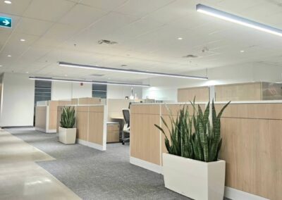 Plants for the office Mississauga, Vaughan, Brampton, Oakville. Office plants. Indoor office plants.